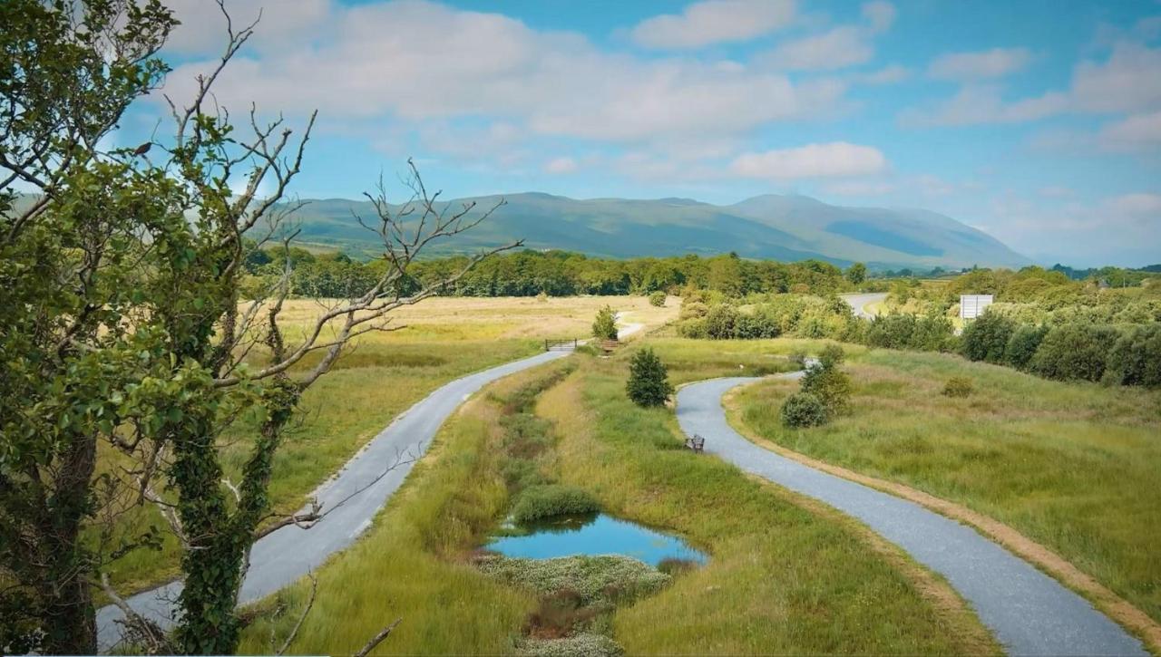 Ballygarry Estate Hotel & Spa 特拉利 外观 照片